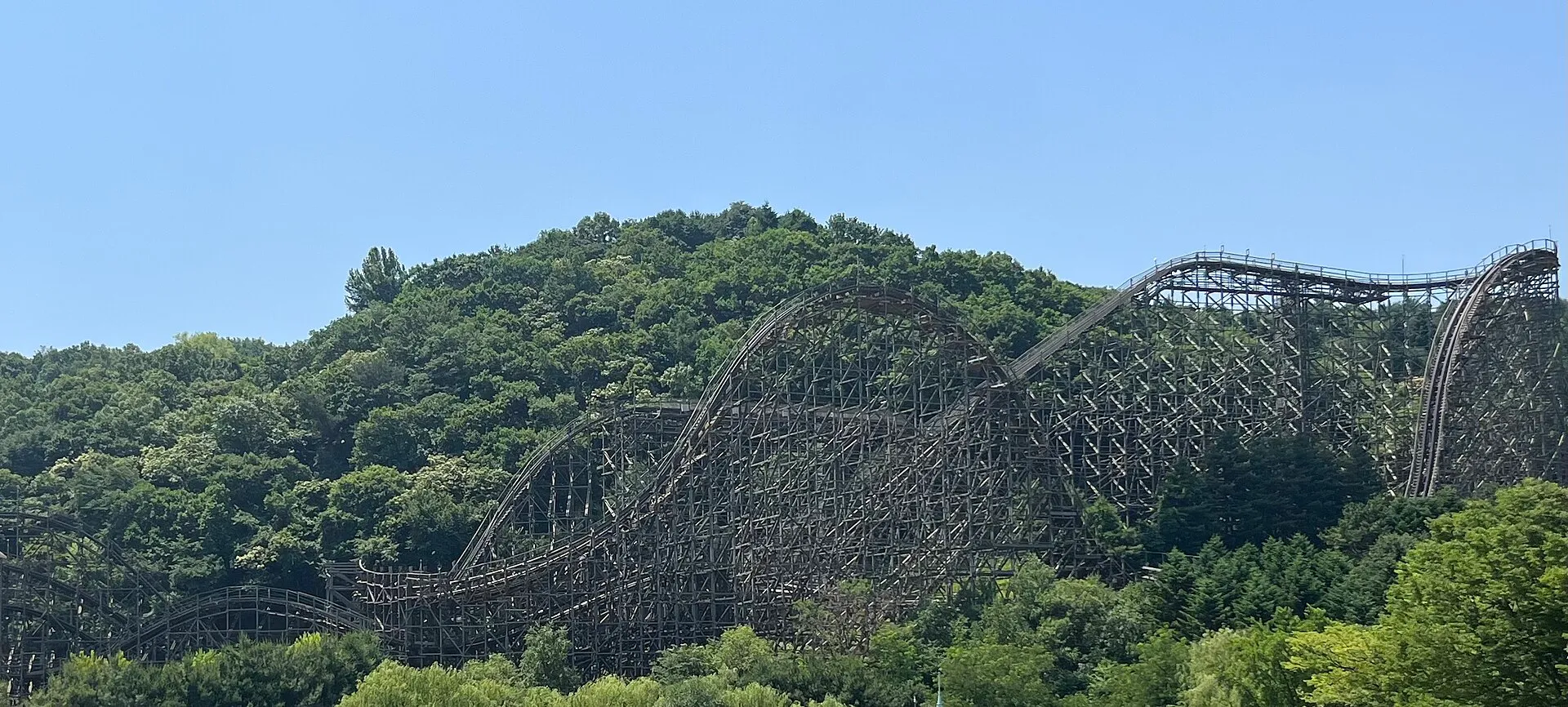 T Express wooden roller coaster winding down a forested hillside at Everland, South Korea