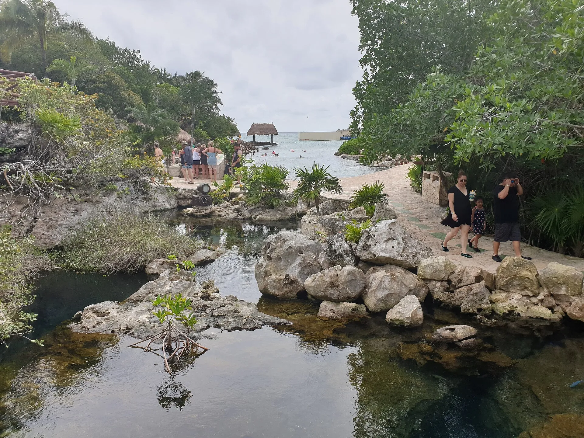 Xel-Há Park inlet with snorkellers, mangroves and palapa, Riviera Maya