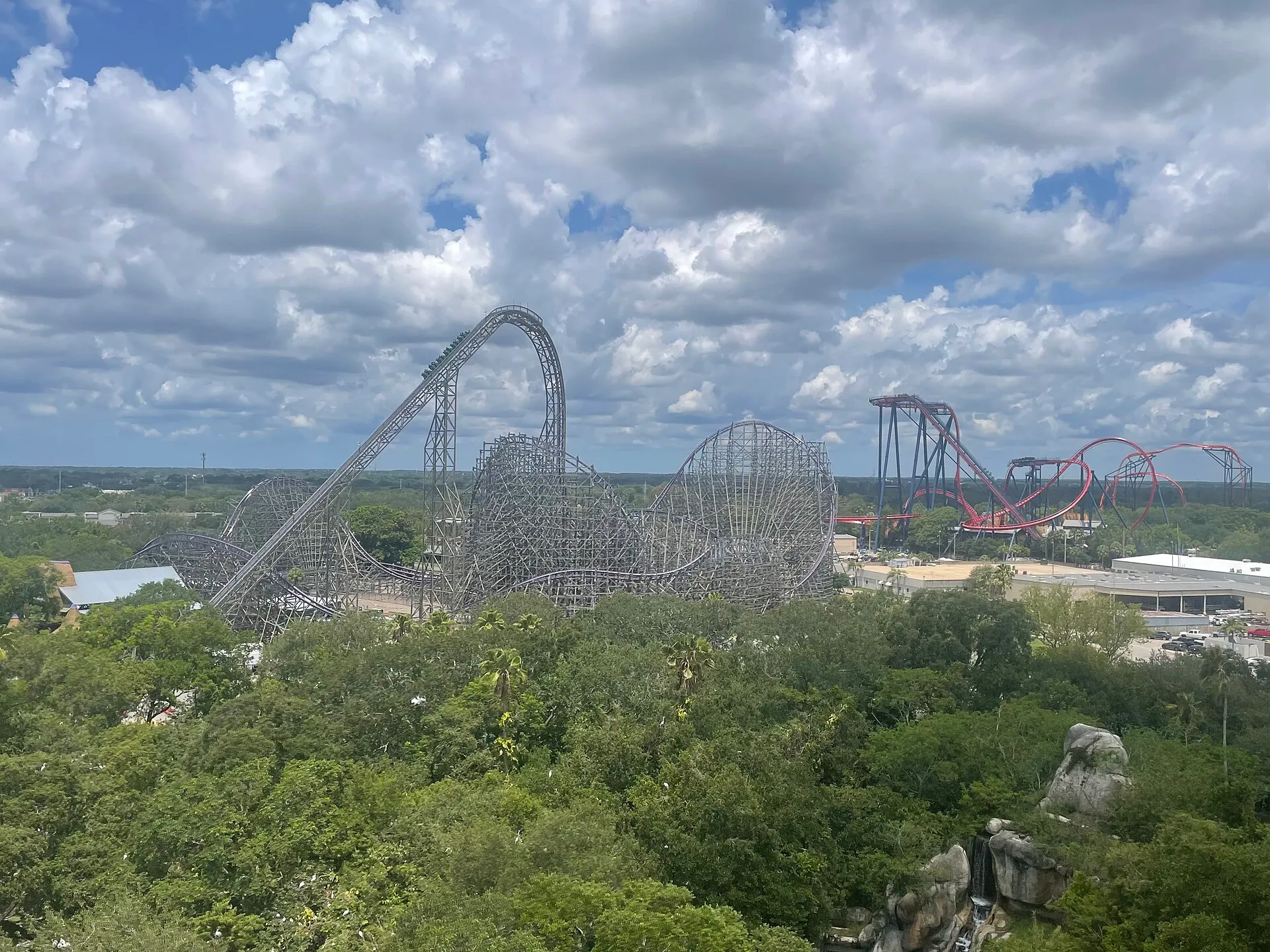 Iron Gwazi hybrid roller coaster towering over the trees at Busch Gardens Tampa Bay