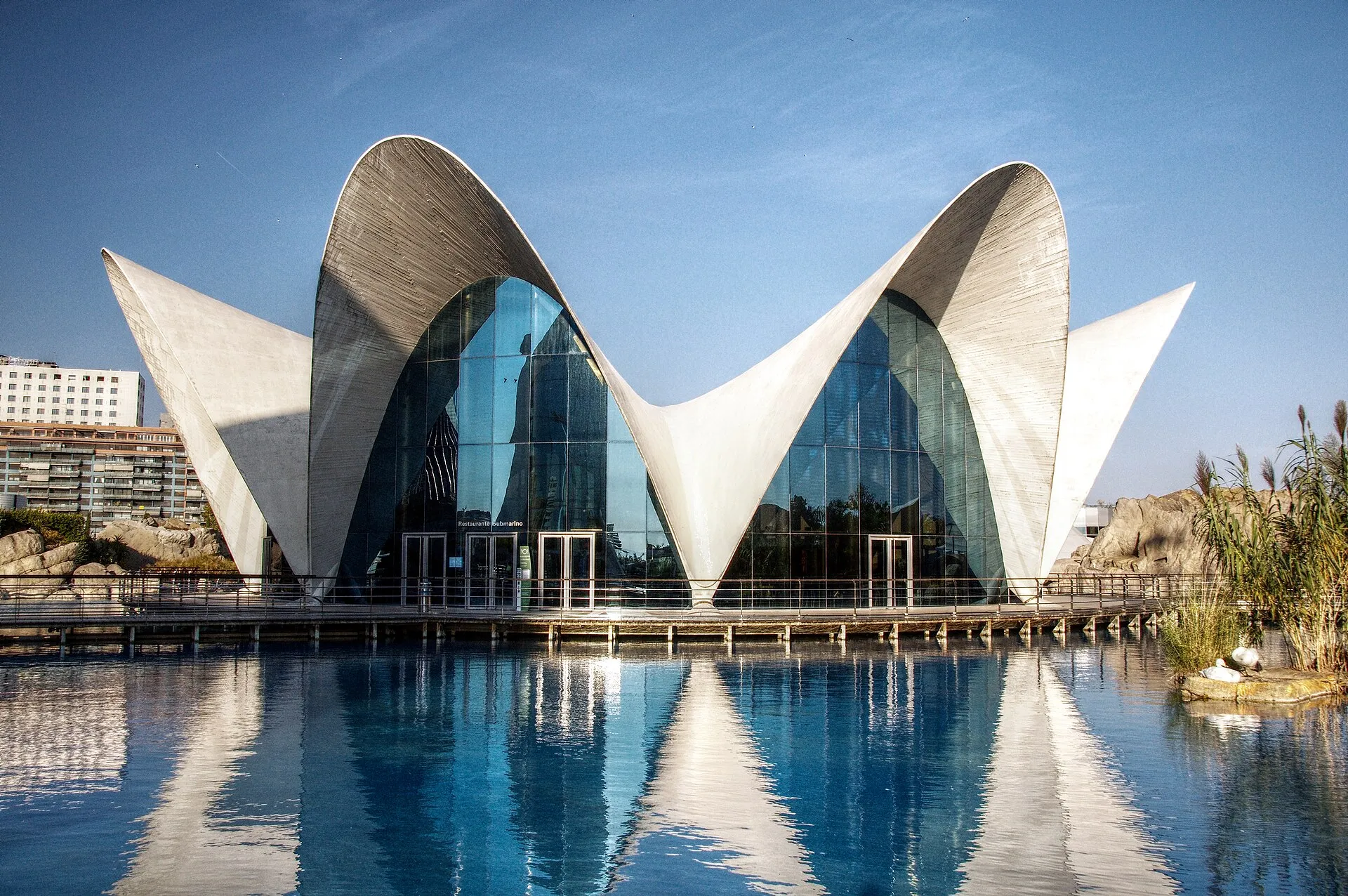 Félix Candela's white shell-roofed Submarino building reflected in the lake at Oceanogràfic Valencia