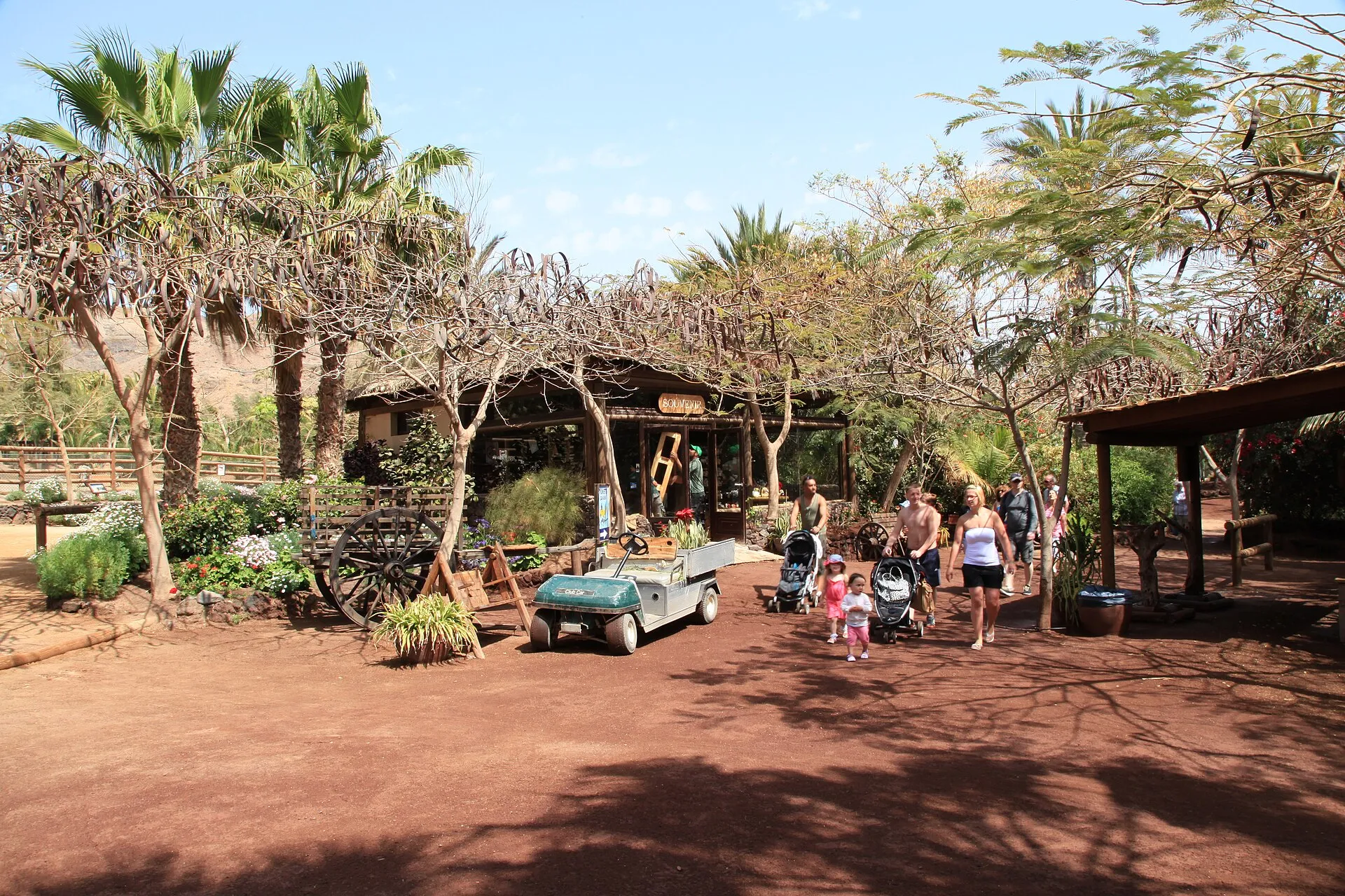 Palm-shaded entrance plaza with visitors at Oasis Wildlife Fuerteventura, La Lajita